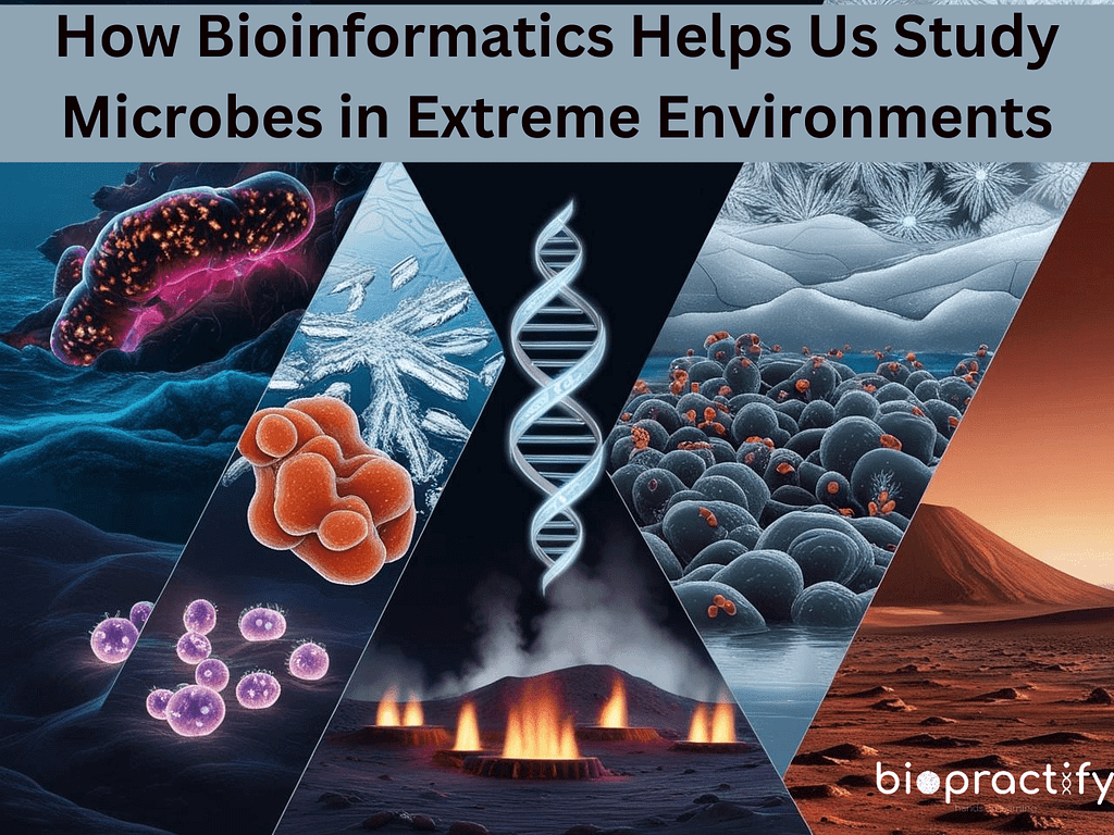 Bioinformatics Helps in Studying Extreme Microbial Life