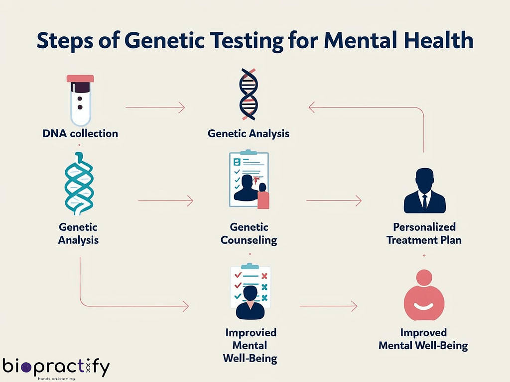 Concept: A simple infographic showing the steps of genetic testing for mental health, from DNA collection to personalized treatment.